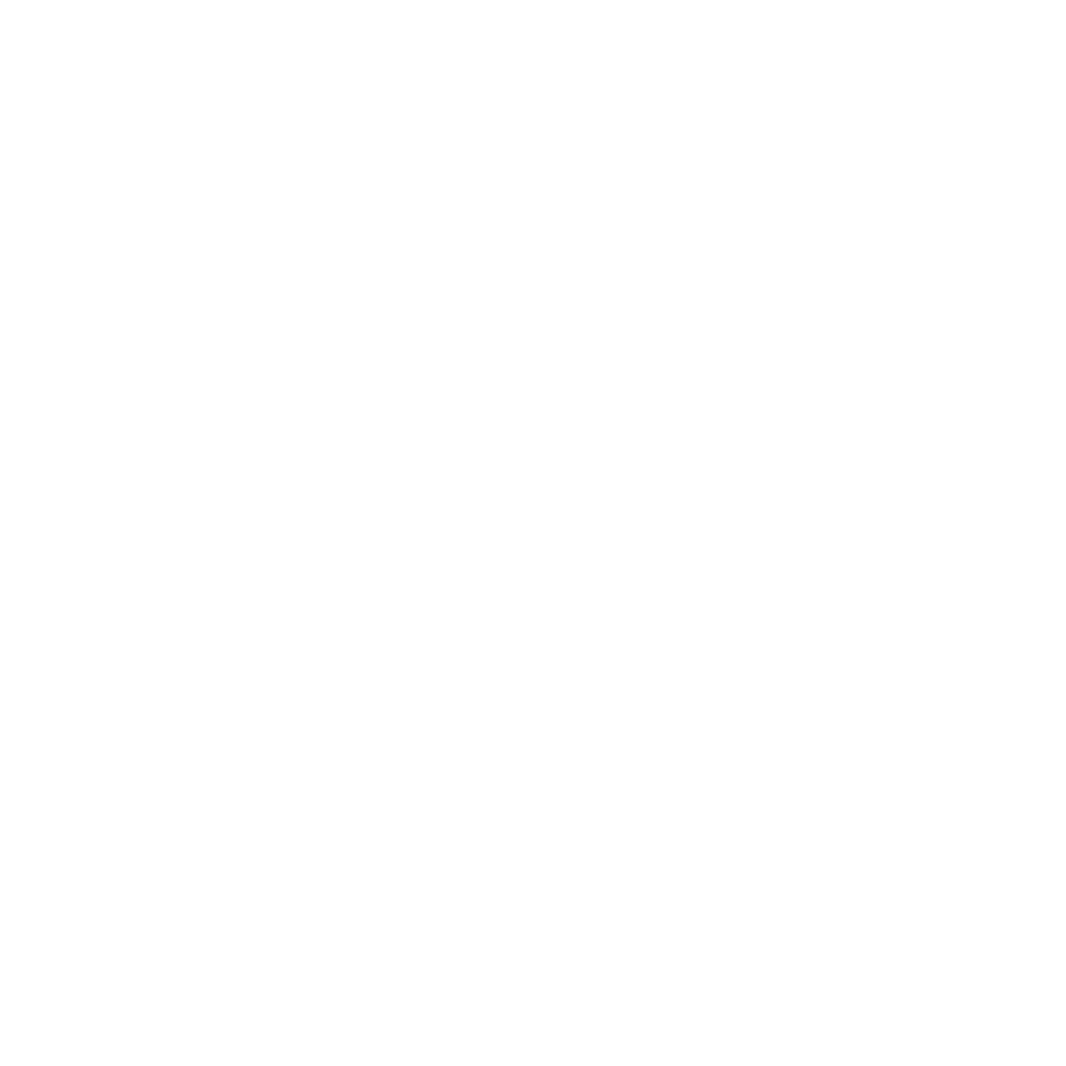 Logo de Cindy Descatoire Psychopédagogue en version blanche